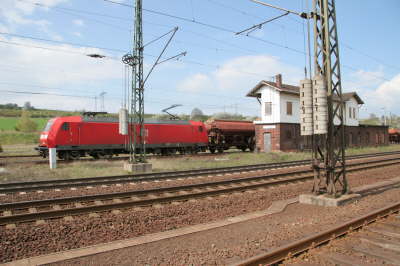 db_IMG_92461