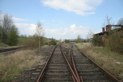 db_IMG_93161