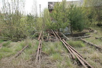 db_IMG_93921