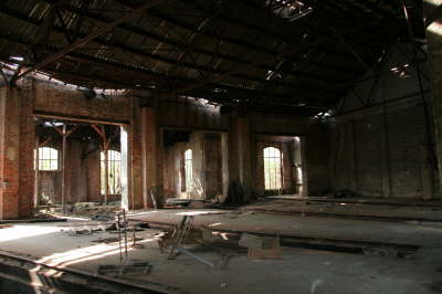 db_IMG_94361