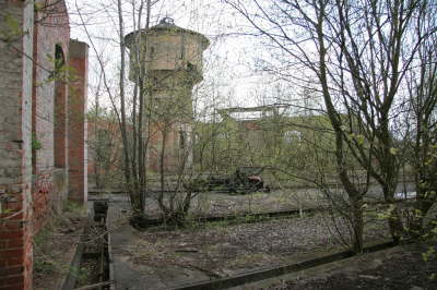 db_IMG_94701